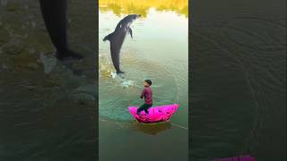 Amazing videography ideas 📲🐬👀 #shorts #amazing #trending