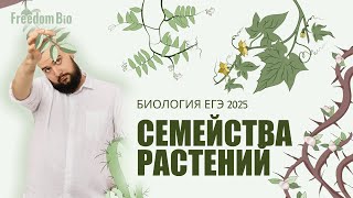 СЕМЕЙСТВА и КЛАССЫ покрытосеменных для ЕГЭ |Ботаника| ЕГЭ БИОЛОГИЯ 2025|Freedom|