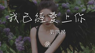 劉旭陽 - 我已經愛上你『那晚陪着你的夜 因爲我已愛上你』【動態歌詞Lyrics】