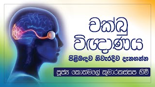 චක්ඛු විඥාණය | Ven. Kothmale Kumarakassapa Thero