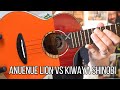 BOLD AND BEAUTIFUL - Kiwaya Shinobi Tenor & AnueNue LION