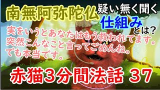 赤猫3分間法話 37 南無阿弥陀仏を疑いなく聞く仕組みとは？