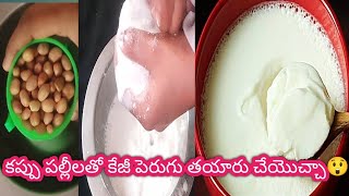 కప్పు పల్లీలతో కేజీ పెరుగు తయారు చేయొచ్చా 😲 curd making with groundnuts