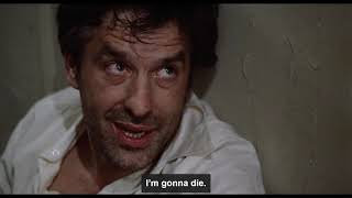 Mikey And Nicky 1976
