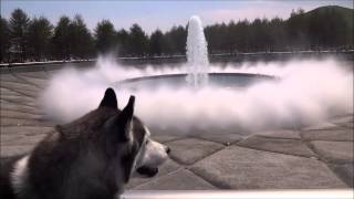 モエレ沼公園 海の噴水！風が強いとちょっと怖い...（笑）