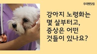 강아지 노령화는 몇 살부터고, 증상은 어떤 것들이 있나요?