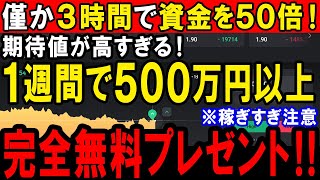 【プレゼント企画】僅か3時間で資金を50倍にする！期待値が高すぎる最新１分タ―ボ手法！【ハイローオーストラリア】【バイナリーオプション】【ゆっくり解説】【副業】