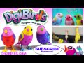 101 things to do with your digibirds