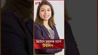 ব্রিটেনে ভয়ানক চাপে টিউলিপ,ছাড়তে হবে পদ?