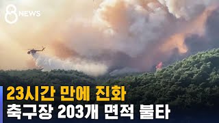 울진 산불 23시간 만에 진화…축구장 203개 사라졌다 / SBS