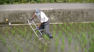 昔ながらの「除草機」の復活