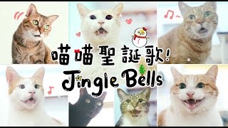 【黃阿瑪的後宮生活】喵喵聖誕歌！Jingle Bells！