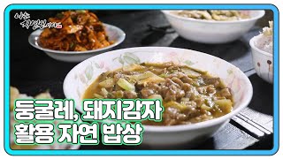 ＜자연 밥상＞ 둥굴레 밥 \u0026 김치 돼지감자 도토리 수제비 \u0026 돼지감자 깍두기 MBN 240424 방송