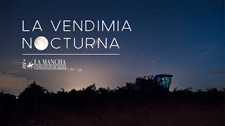 Vendimia nocturna en La Mancha