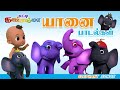 சுட்டி கண்ணம்மா யானை பாடல்கள் || Tamil Kids Elephant Songs 🐘 Chutty Kannamma Tamil Baby Rhymes