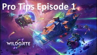Wildgate - Pro Tips