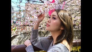 Nakameguro Cherry Blossoms | Tokyo Japan Vlog