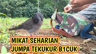 MEMIKAT SEHARIAN JUMPA TEKUKUR SEPERTI INI...‼️