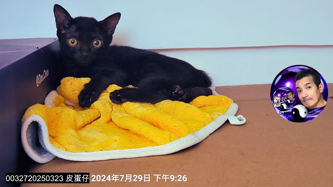 0032202503237 Youtube