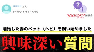 【衝撃】Q.離婚した妻のペット（ヘビ）を飼い始めました...→人間味溢れる質問www【Yahoo!知恵袋】