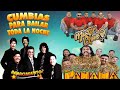 Mister Chivo , Tropical Panama , Renacimiento 74 -  Cumbias Para Baila 2024