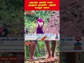 People crossing | rive | bamboo | thanthitv