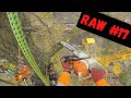 (RAW) Poplar Tree Crane Removal [UK Tree Surgeon]