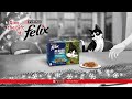 Felix - It's great to be a cat at Christmas!