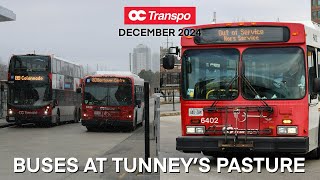 OC Transpo Buses at Tunney’s Pasture - December 2024