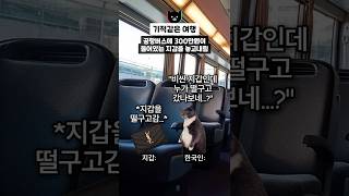 300만원을 잃어버려도 돌아오는 나라 #고양이밈