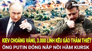 Tin thế giới 17/1: Kiev choáng váng, 3.000 lính kêu gào thảm thiết, Ông Putin đóng nắp nồi hầm Kursk