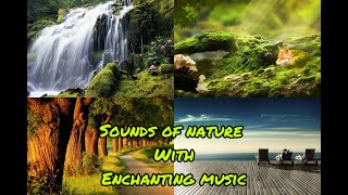 Sound of nature with enchanting music | Relaxing nature sounds | Magical Nature | Gentle Energiser