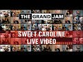 The Grand Jam - Tutorials- Sweet Caroline (Neil Diamond) - Live Video