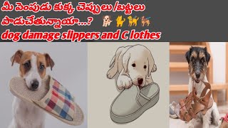 మీ పెంపుడు కుక్క చెప్పులు /బట్టలు పాడుచేతున్నాయా...? dog damage slippers Clothes @animalhealth531