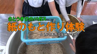 種子島の学校活動：安納小学校令和6年度さとうきびのバガスから紙のもと作り体験