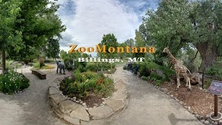 360 Video of a beautiful day at ZooMontana.