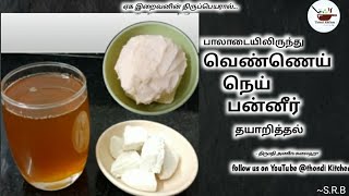 பாலாடையிலிருந்து வெண்ணெய்,நெய்,பன்னீர் எடுத்தல்.Making pure butter and ghee at home.Thondi Kitchen.