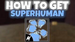 How To Get *SUPERHUMAN* In Blox Fruits