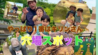 日立市かみね動物園に孫ちゃまと行って来ました！