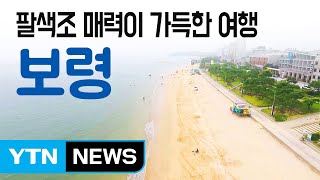 [YTN 구석구석 코리아] 팔색조 매력이 가득한 여행, 보령 / YTN