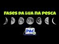 Fases Da Lua Na Pesca