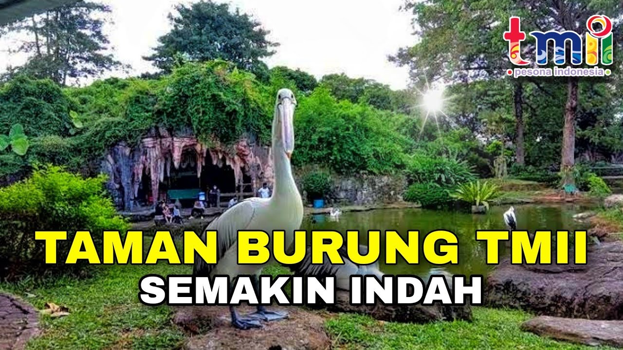 Kubah Barat | Sangat Keren Taman Burung Di TMII | Update Renovasi TMII ...