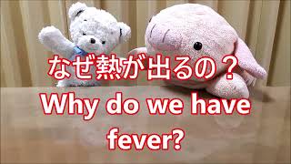 平日毎日更新【３０秒で薬局英会話】「なぜ熱が出るの？」「細菌やウィルスとの戦いを有利にするためです。」〔#392〕English conversation at the pharmacy