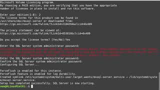 Loading Microsoft SQL Server 2019 and Visual Studio Code on Linux Mint 20
