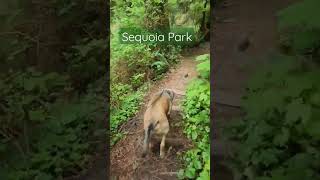 Humboldt County Ca Parks 👍 Free Northern California Parks 💚