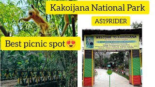 Kakoijana National park|| Family Picnic||Best picnic spot||Kakoijana wildlife sanctuary|| AS19RIDER