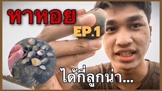 EP.1 หาหอย ได้กี่ตัวน่า...