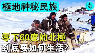 因紐特人在零下60℃的北極，到底要如何生活？！他們不怕冷嗎？