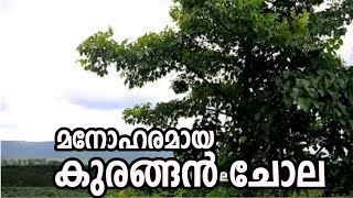 kurangan chola waterfalls malappuram kerala, natural waterfalls and beautiful scenery