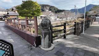 山口県萩市の旅　東光寺[1] 松陰神社から東光寺へサイクリング　DJI 20240108101312 0204 D